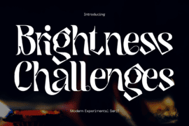 Brightness Challenges Demo Font