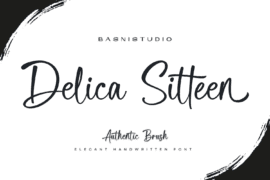 Delica Sitteen Font