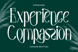 Experience Compassion Demo Font