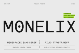 IT Monelix Demo Font Family