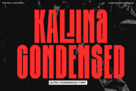 Kallina CondensedDEMO Font
