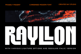 Rayllon DEMO Font Family