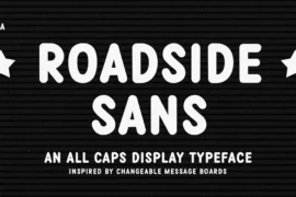 Roadside Sans Demo Font