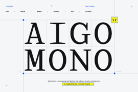 TRT Aigo Mono Demo Font Family
