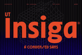UT Insiga Demo Font