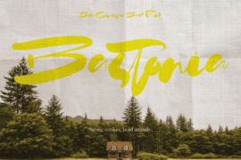 Bastonia Font