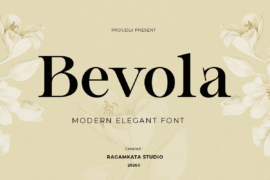 Bevola Demo Font