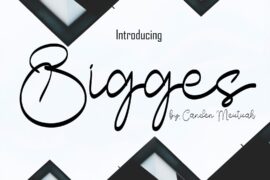 Bigges Font