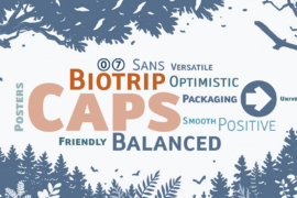 Biotrip Caps Font Family