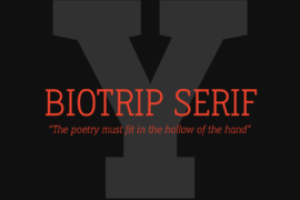 Biotrip Serif Font Family