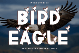 Bird Eagle Font