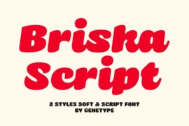 Briska Font Family