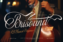 Brisound Font