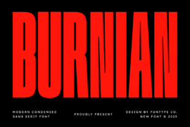 Burnian Font