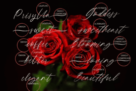 Camalla Rose Font
