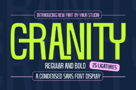 Cranity Font