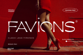 Favions Demo Font