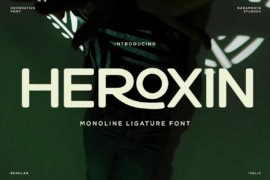 Heroxin Demo Font