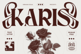 Karis Demo Font