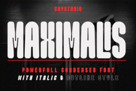 Maximalis DEMO Font