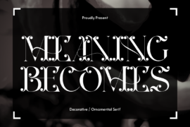 MEANING BECOMES DEMO Font