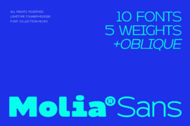 Molia Demo Font Family