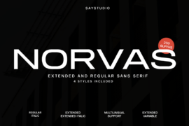 Norvas DEMO Font