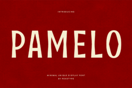 Pamelo Font