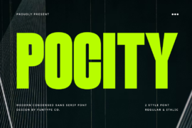 Pocity Font