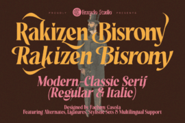 Rakizen Bisrony Demo Font Family
