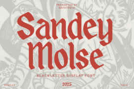 Sandey Molse DEMO Font