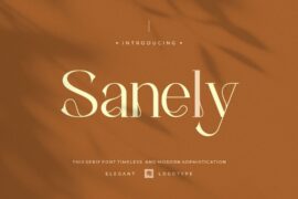 Sanely Font