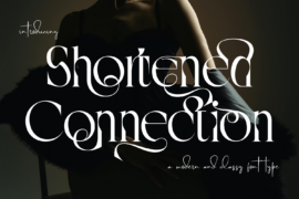 Shortened Connection Demo Font