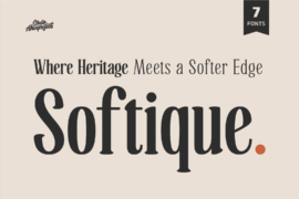 Softique Demo Font Family