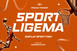 Sport LigemaDEMO Font