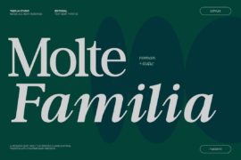 TBJ Moltefamilia DEMO Font Family