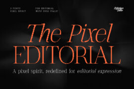 The Pixel Editorial Demo Font Family