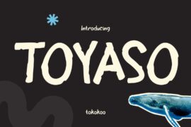 Toyaso Font