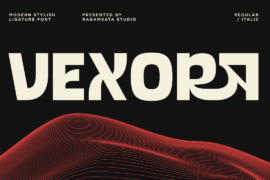 Vexora Demo Font