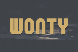 Wonty Font