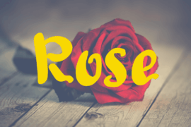 XC Rose Font