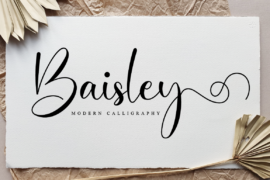 Baisley Font