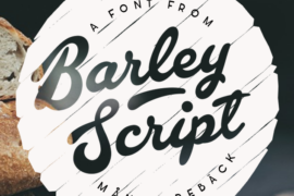 Barley Script PERSONAL USE Font