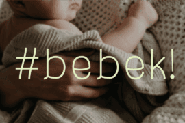 Bebek Font Family