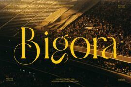 Bigora Font