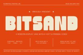Bitsand Demo Font