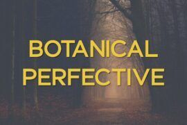 Botanical Perfective Font