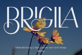 Brigila Demo Font