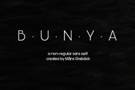 Bunya PERSONAL Font Family