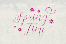Cantona Script Font